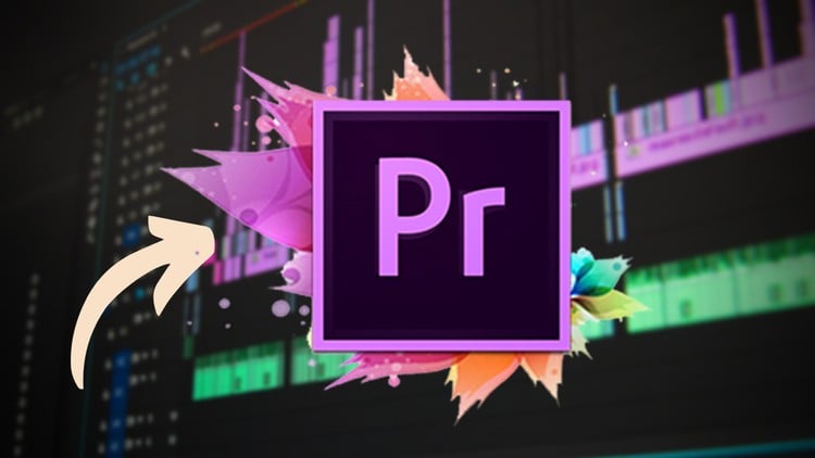 Premiere Pro Masterclass: Beginner to Advanced Video Editing