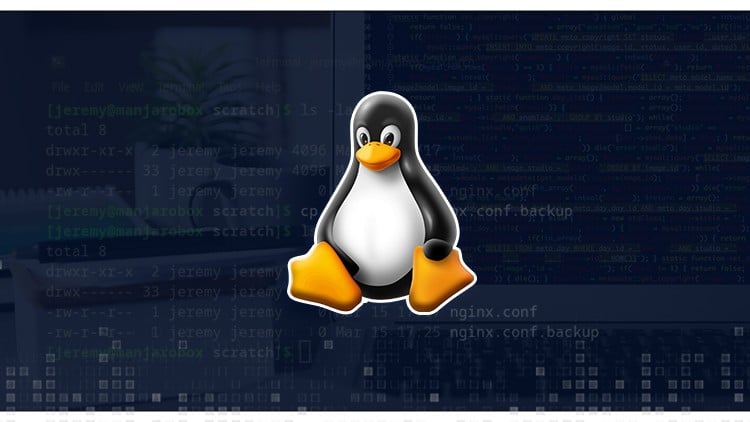 Linux: From Beginner to System Administrator