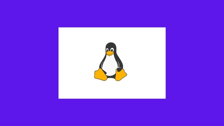 Linux Foundation LFCA Certification – 650 Practice Questions