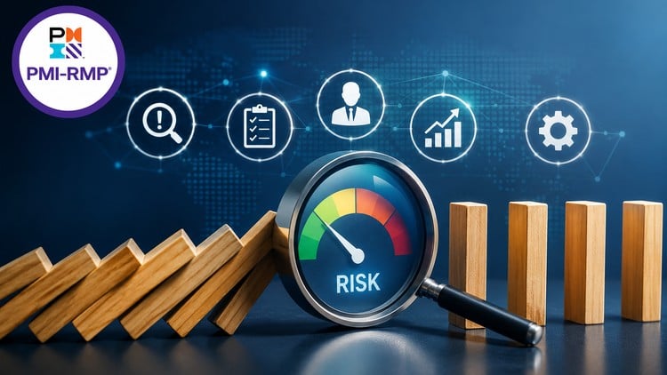 PMI-RMP Practice Exams: 460 Questions & Explanations