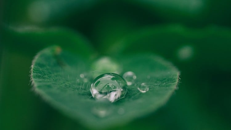 Mindfulness and Meditation Certification Training Course