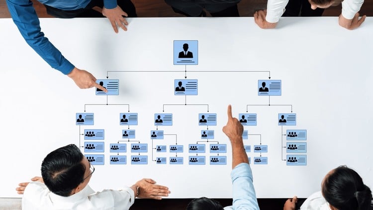 Medical Billing Team Management for Beginners