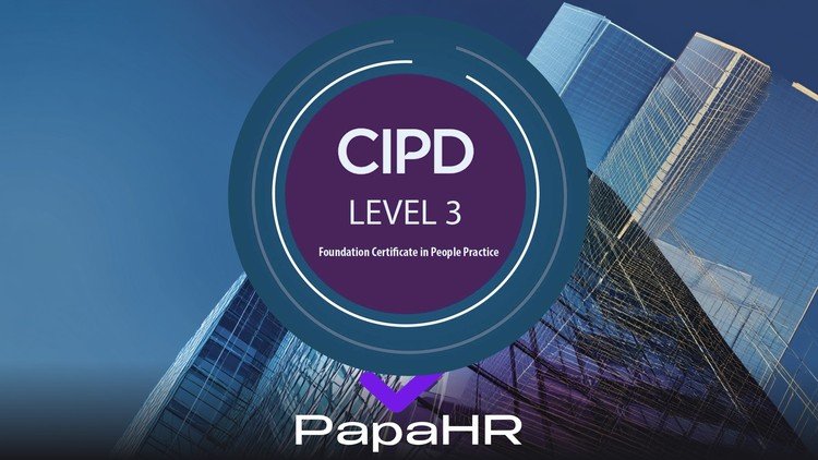 Executive Compensation Course: Equity, Bonus, 210+ Tools