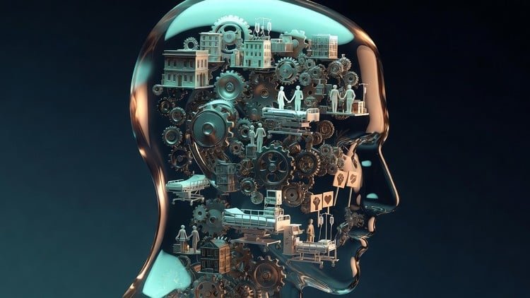 Comprehensive Sociology: Society, Health & Inequality